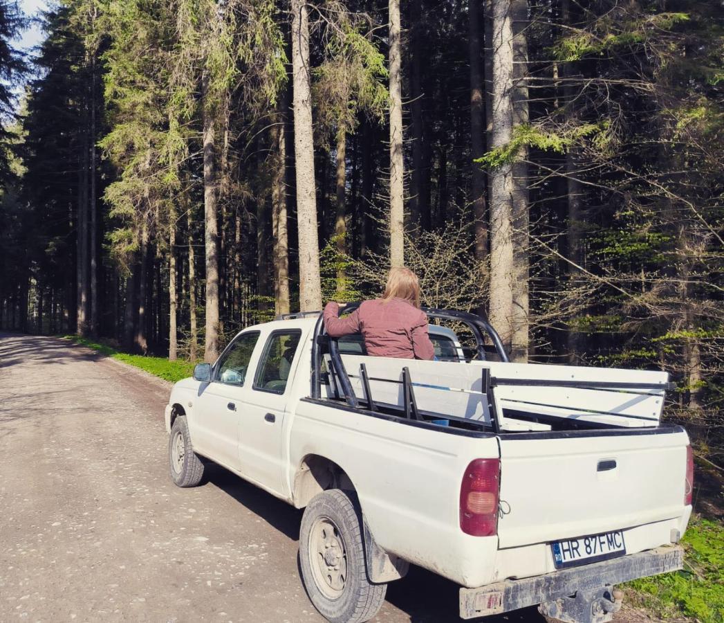 Vén Fenyő Kunyhó Ciceu Exterior foto